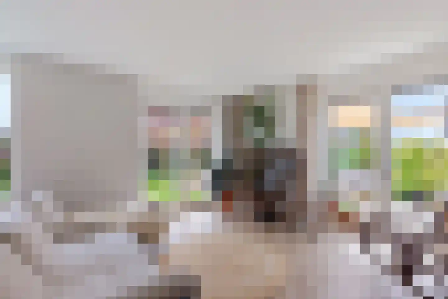 De Ekkers 16 Delfstrahuizen thumbnail 14