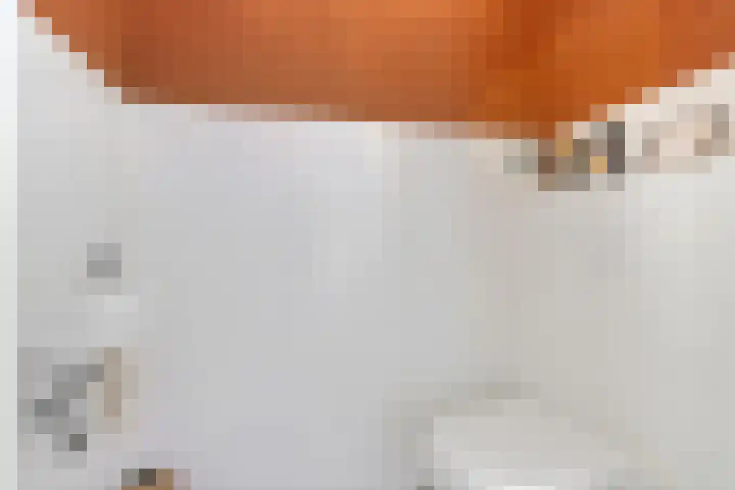 De Ekkers 16 Delfstrahuizen thumbnail 19