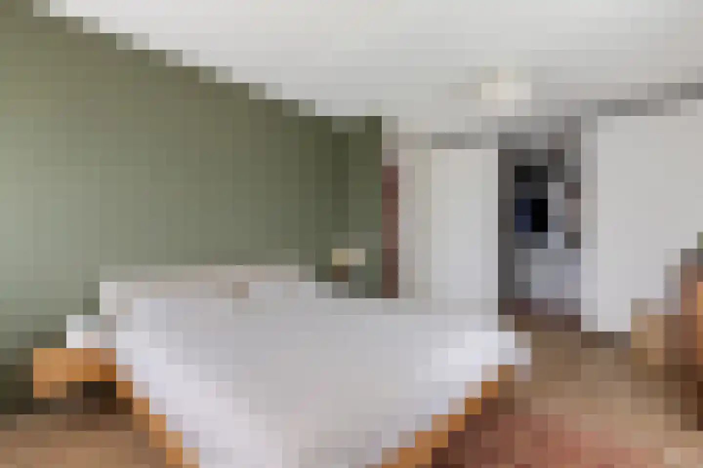 De Ekkers 16 Delfstrahuizen thumbnail 22