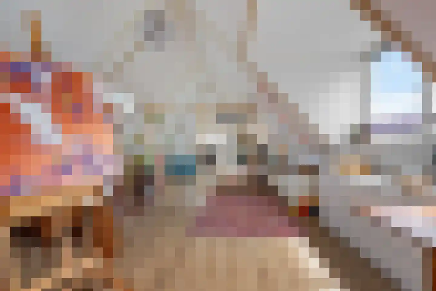 De Ekkers 16 Delfstrahuizen thumbnail 33