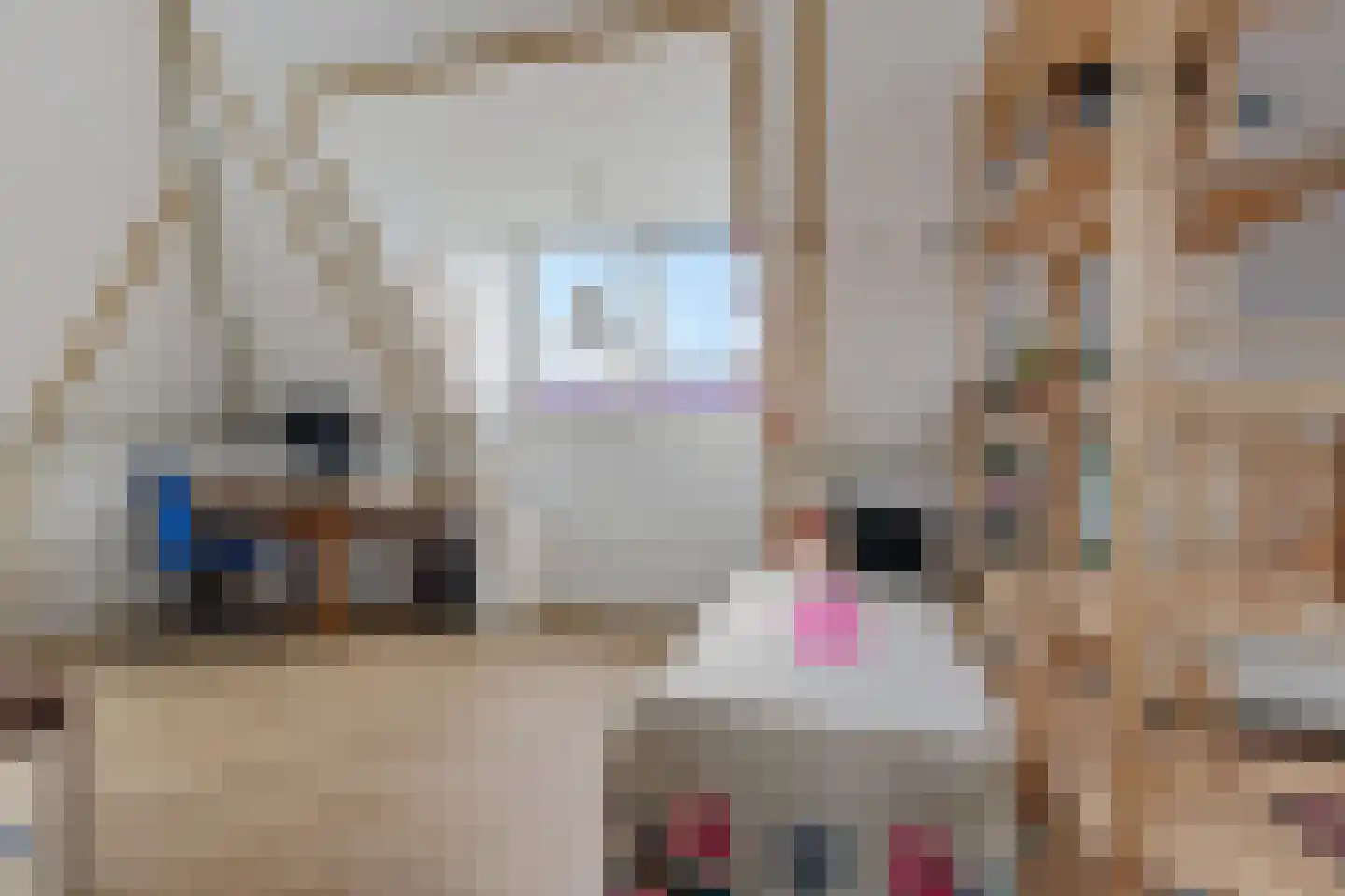 De Ekkers 16 Delfstrahuizen thumbnail 35