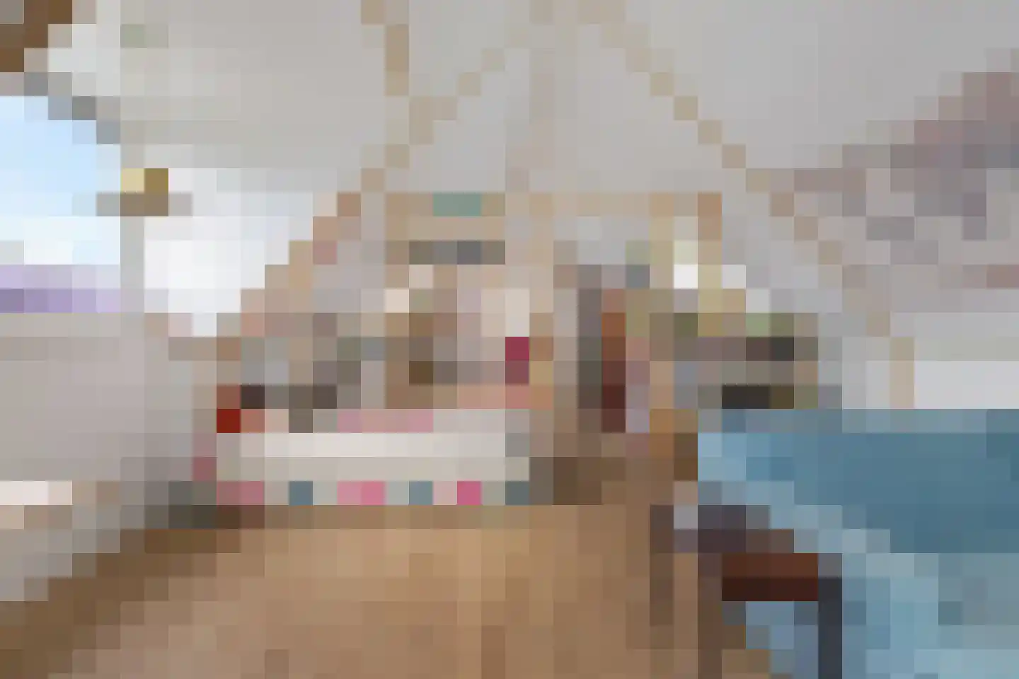 De Ekkers 16 Delfstrahuizen thumbnail 36