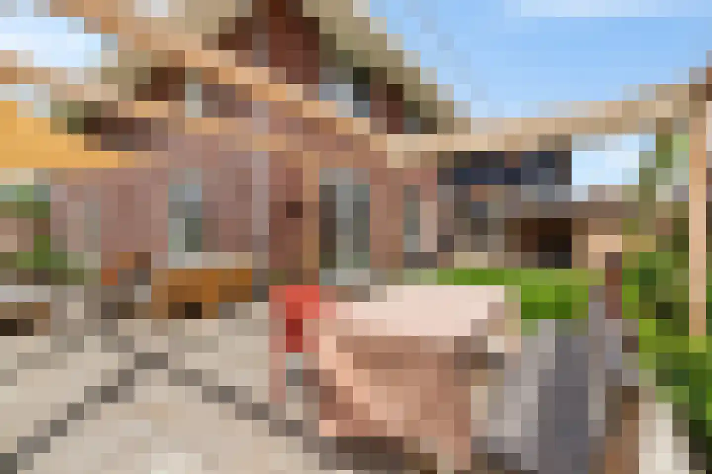 De Ekkers 16 Delfstrahuizen thumbnail 44