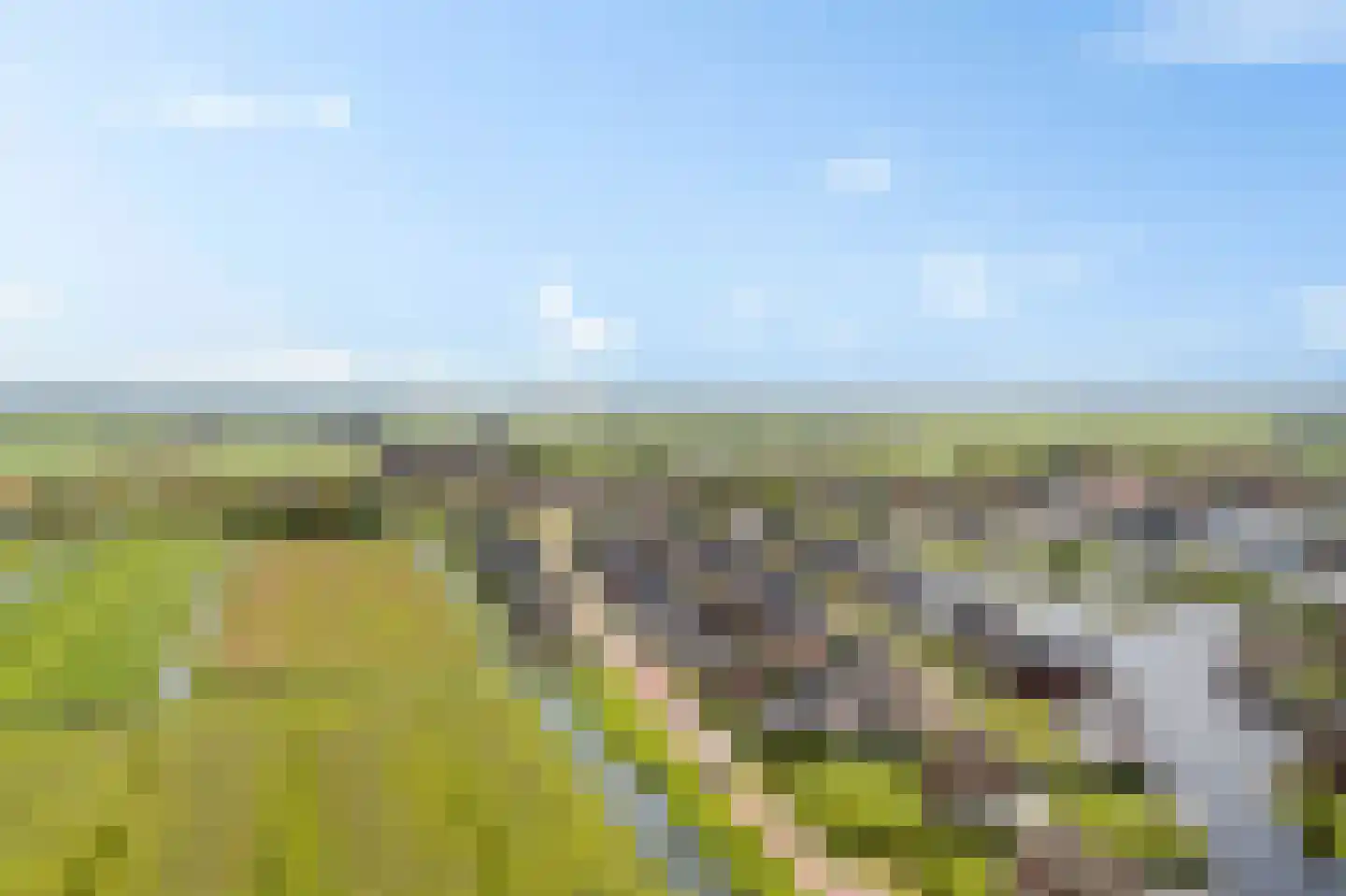 De Ekkers 16 Delfstrahuizen thumbnail 50