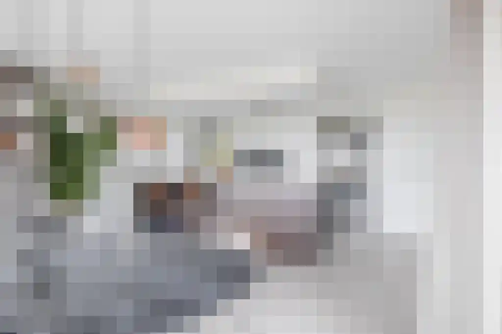 De Ekkers 20 Delfstrahuizen thumbnail 14