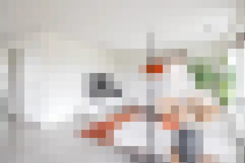 De Ekkers 20 Delfstrahuizen thumbnail 16