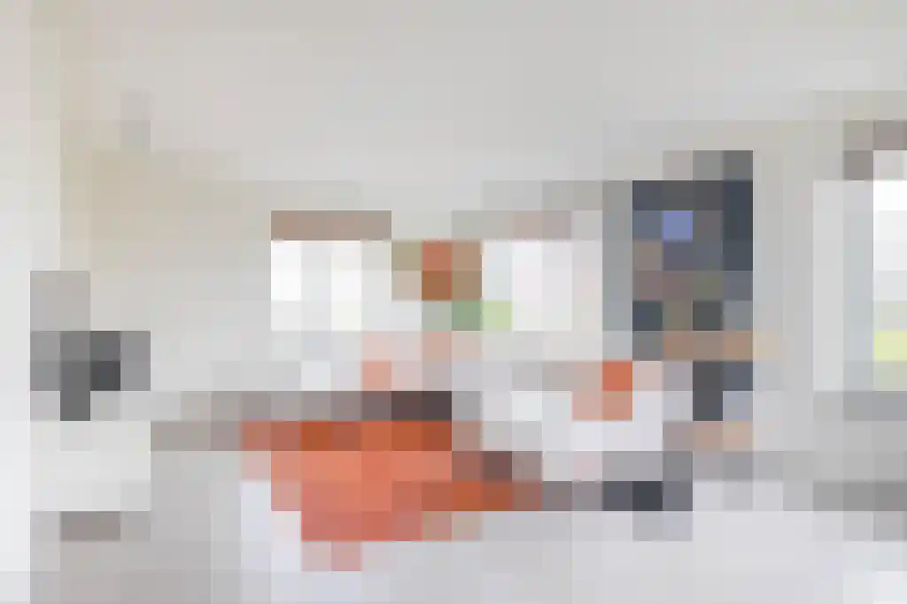 De Ekkers 20 Delfstrahuizen thumbnail 17