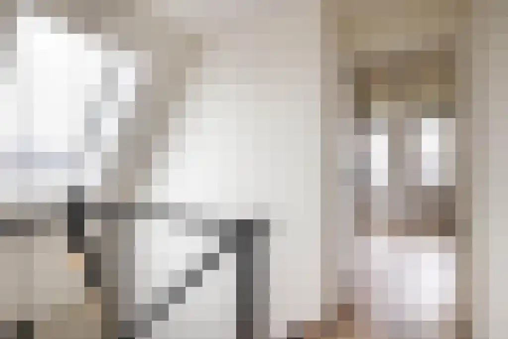 De Ekkers 20 Delfstrahuizen thumbnail 20