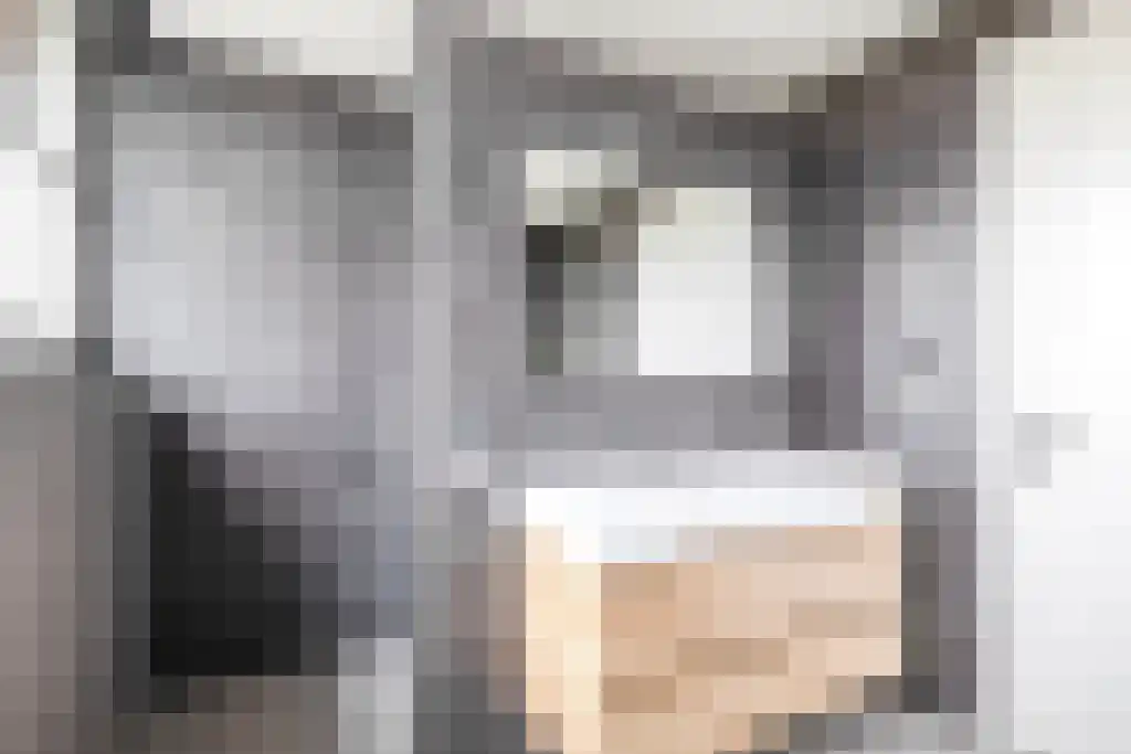 De Ekkers 20 Delfstrahuizen thumbnail 24