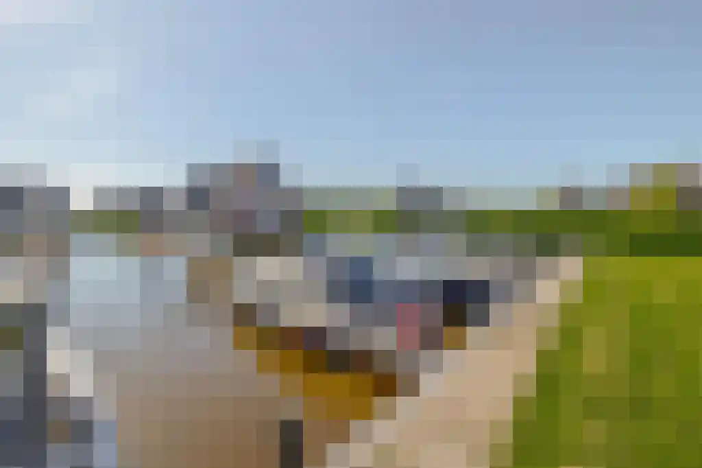 De Ekkers 20 Delfstrahuizen thumbnail 4