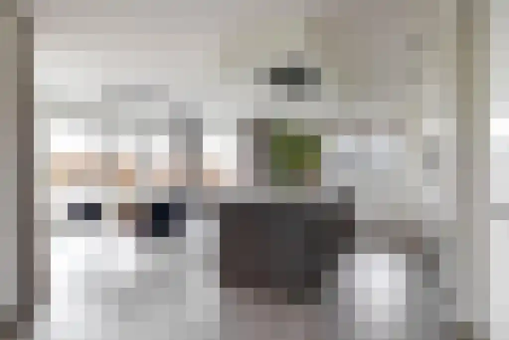 De Ekkers 20 Delfstrahuizen thumbnail 9