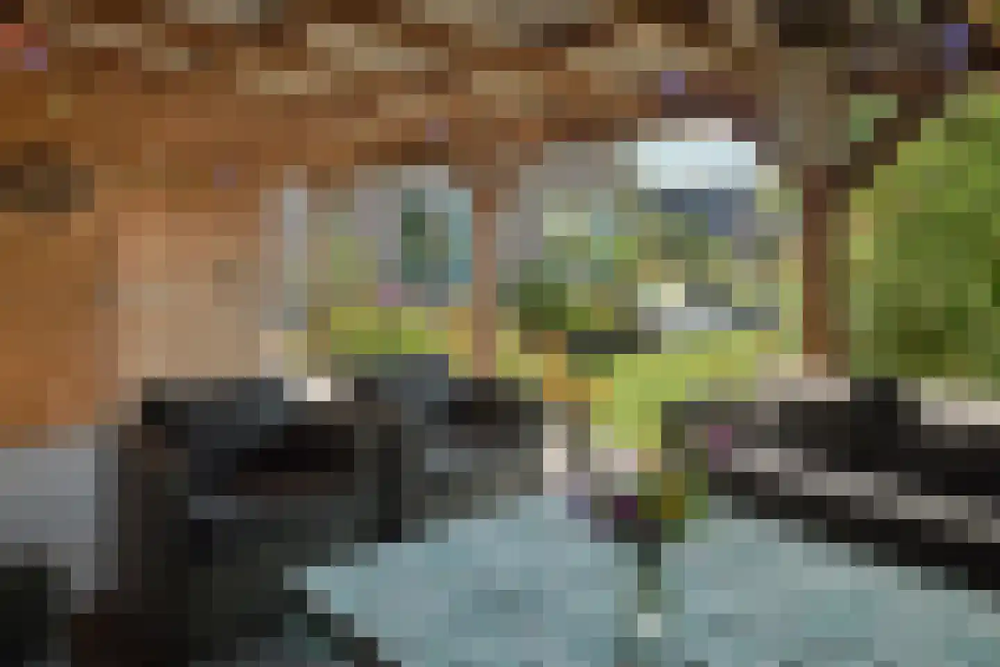 De Ekster 1 Joure thumbnail 10