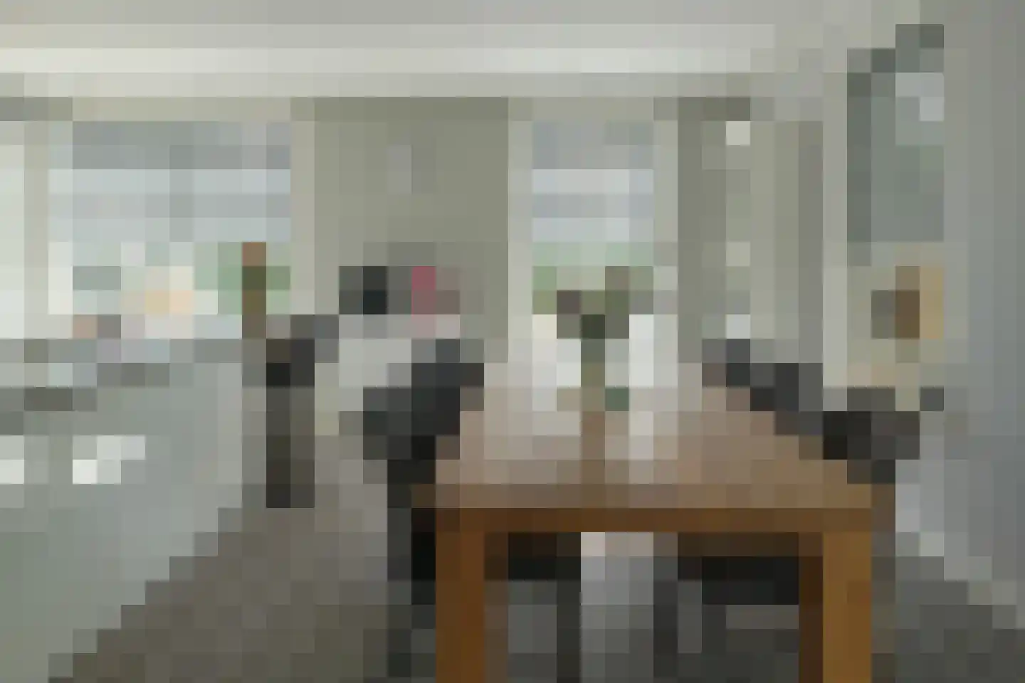 De Ekster 1 Joure thumbnail 14