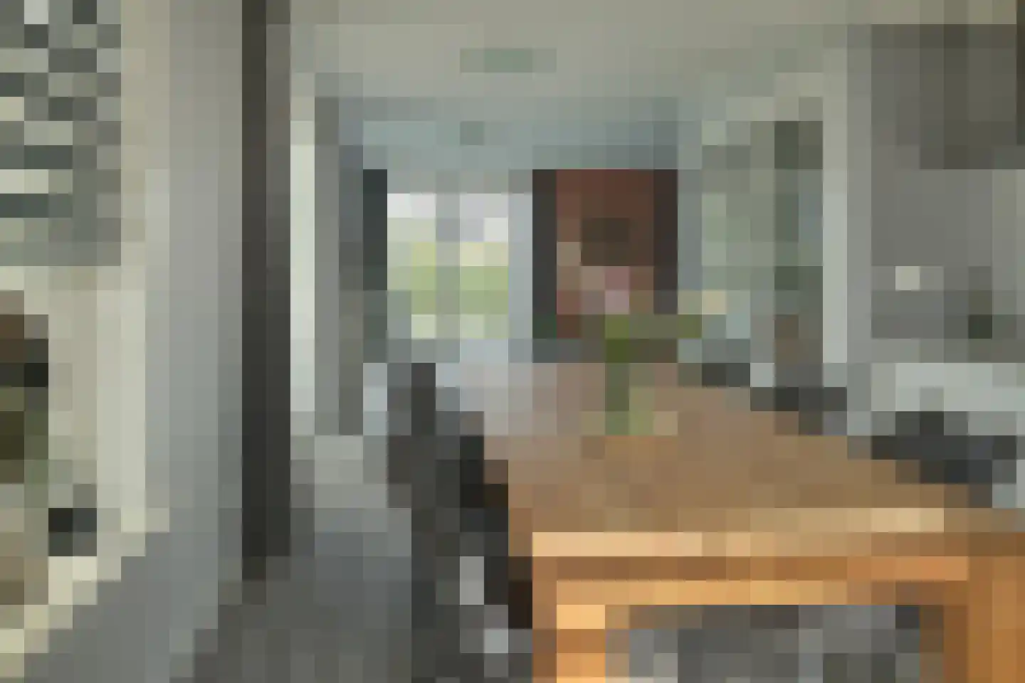De Ekster 1 Joure thumbnail 15