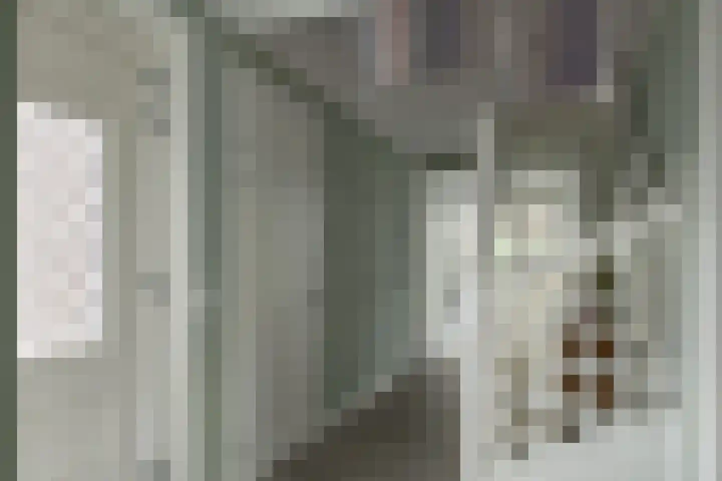De Ekster 1 Joure thumbnail 19