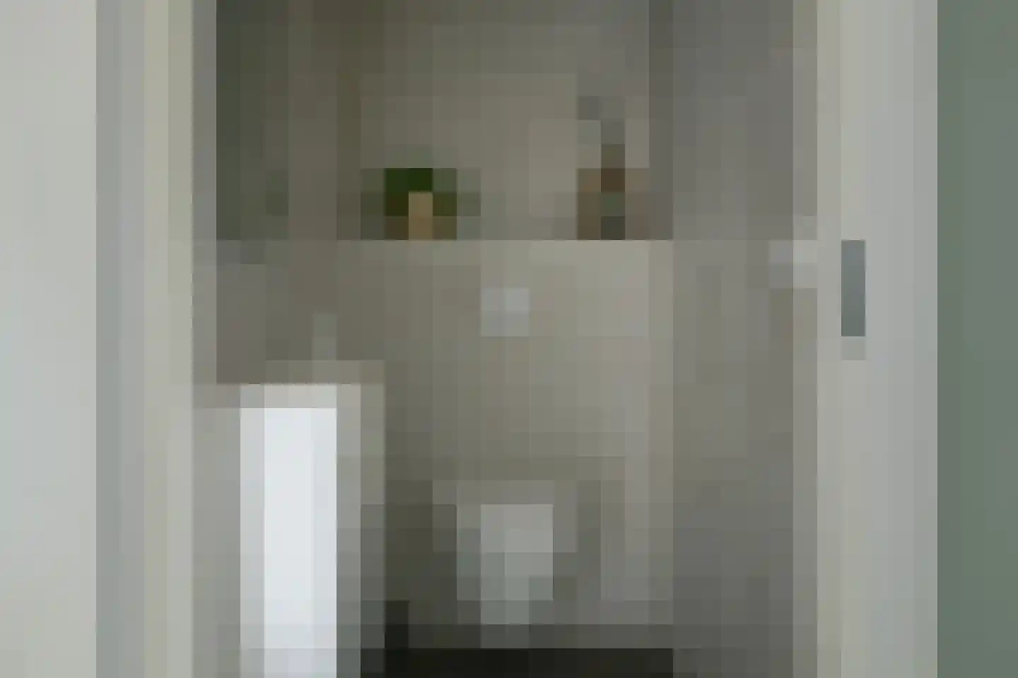 De Ekster 1 Joure thumbnail 21
