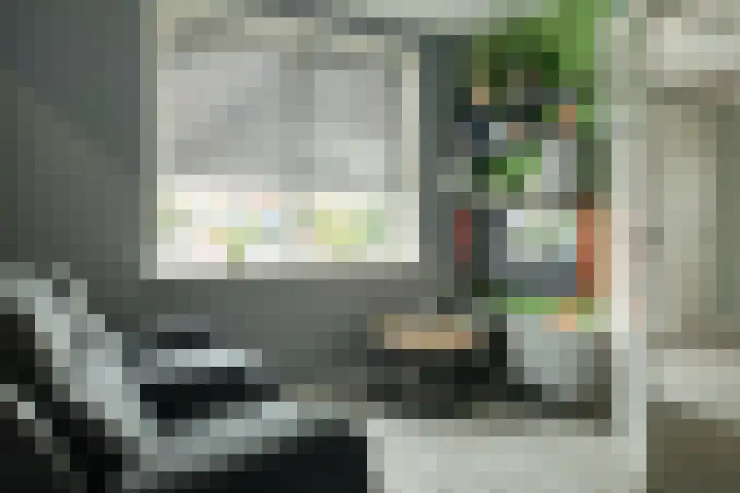 De Ekster 1 Joure thumbnail 22