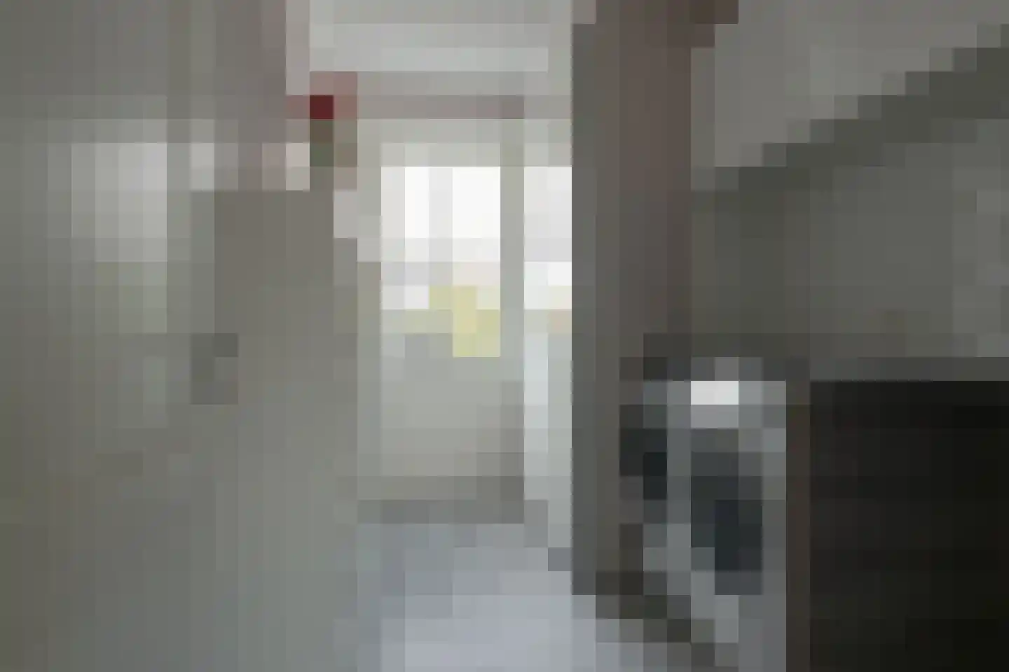 De Ekster 1 Joure thumbnail 25