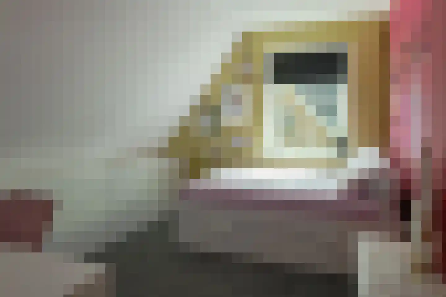 De Ekster 1 Joure thumbnail 27
