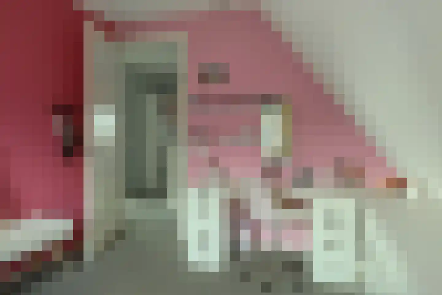 De Ekster 1 Joure thumbnail 28