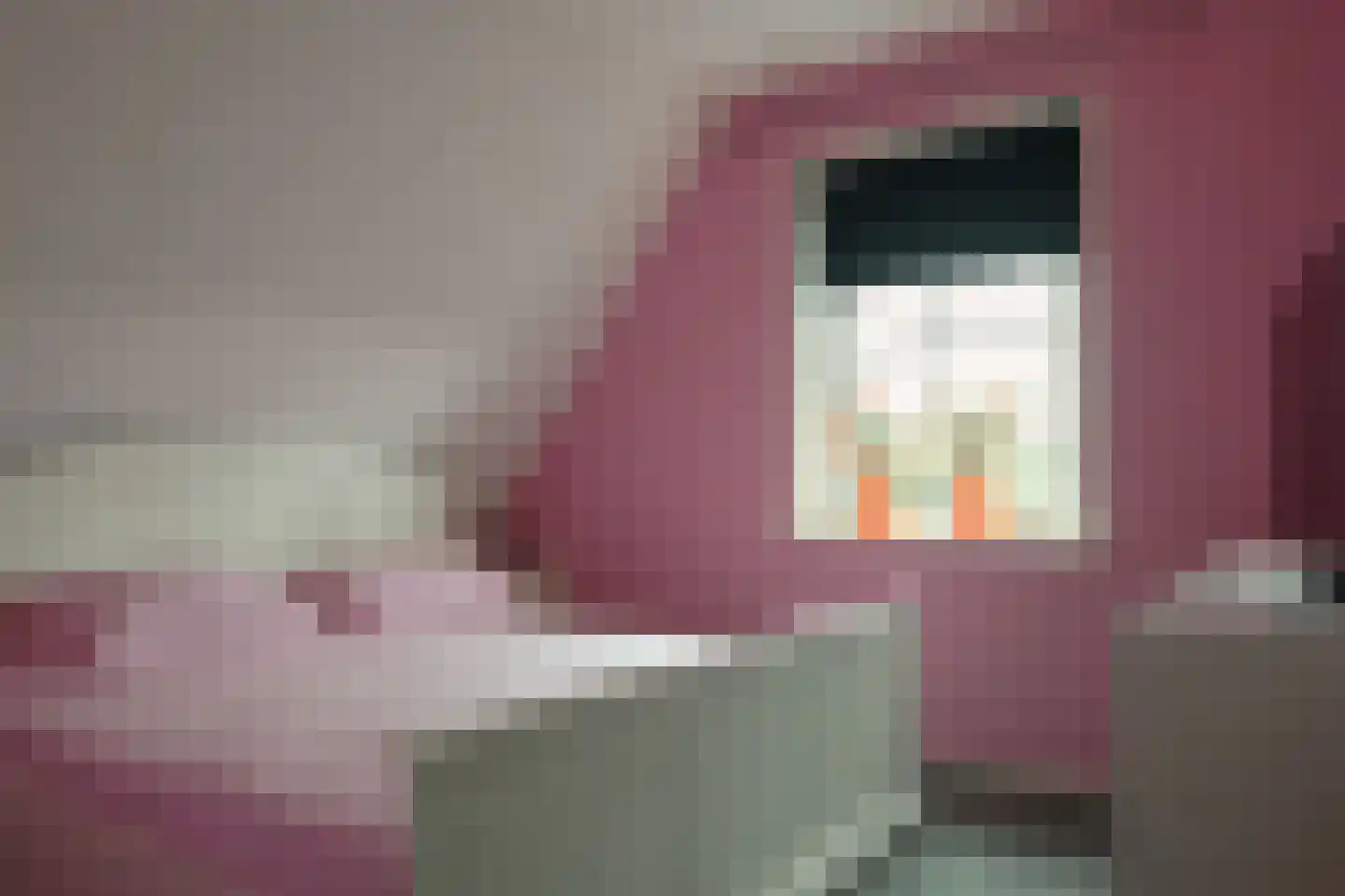 De Ekster 1 Joure thumbnail 30