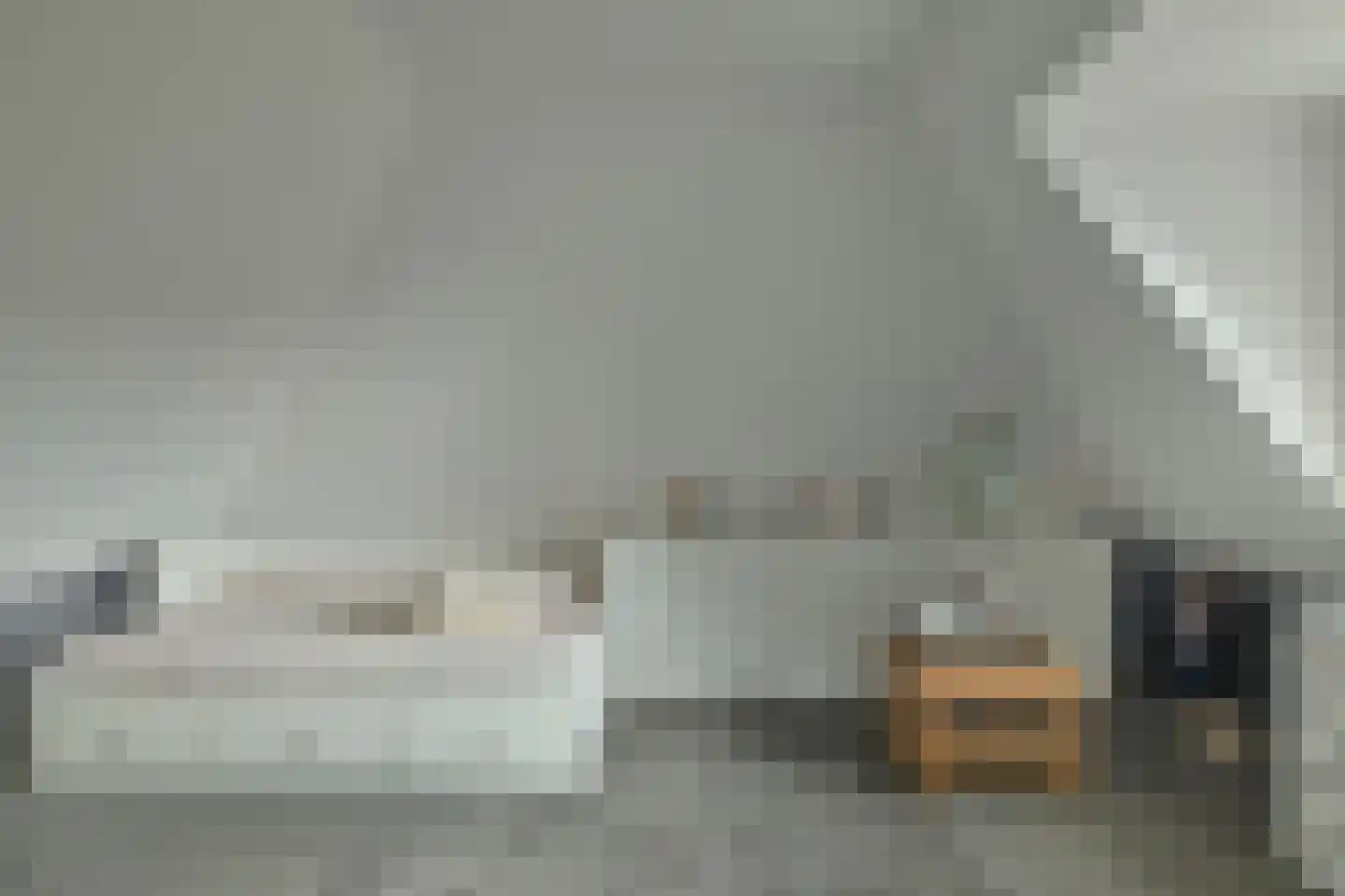 De Ekster 1 Joure thumbnail 32