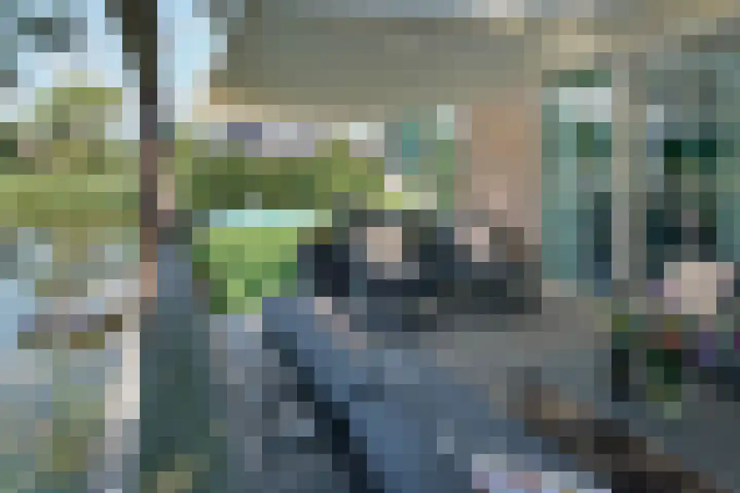 De Ekster 1 Joure thumbnail 4