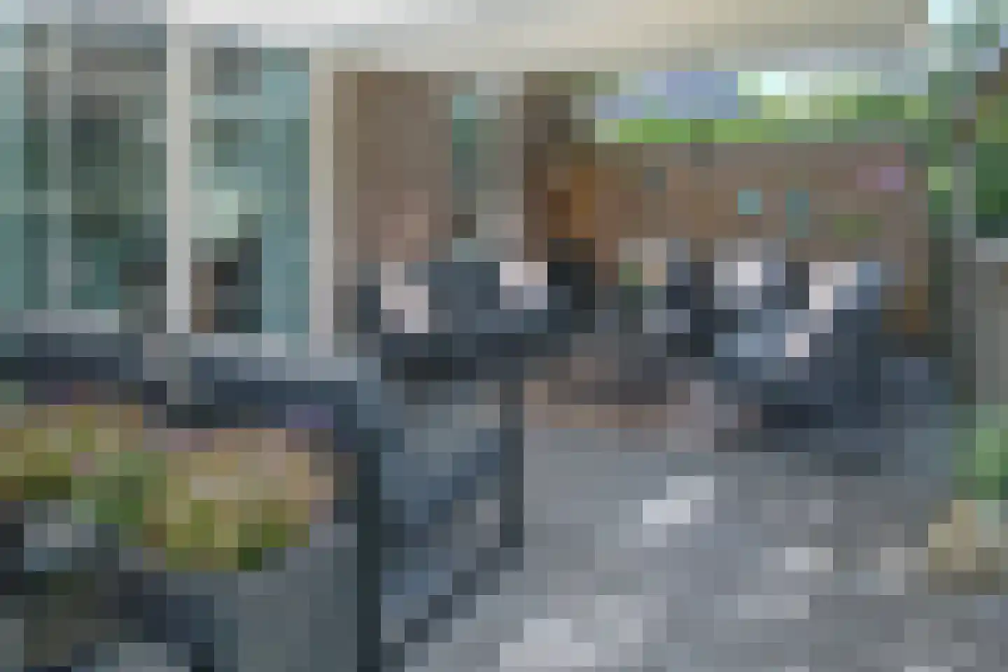 De Ekster 1 Joure thumbnail 40