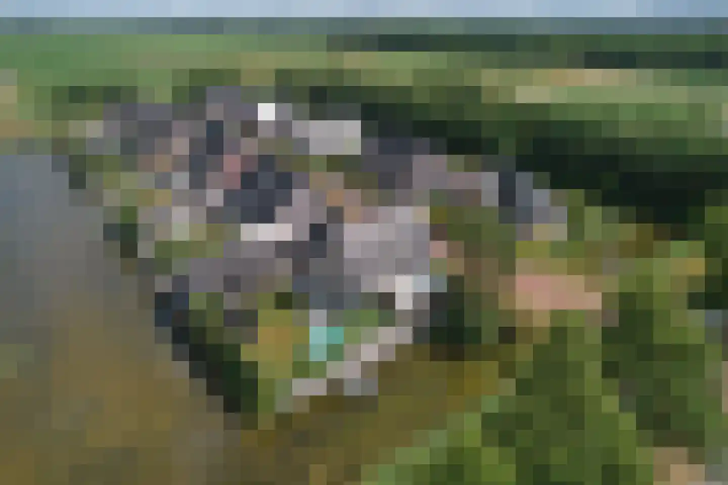 De Ekster 1 Joure thumbnail 42