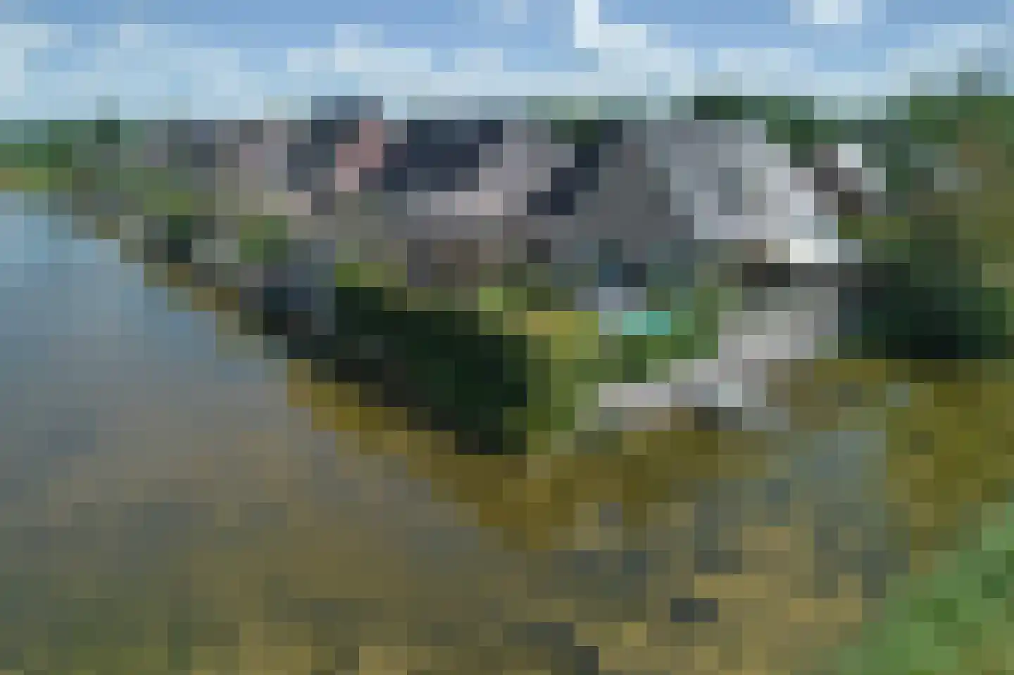 De Ekster 1 Joure thumbnail 43