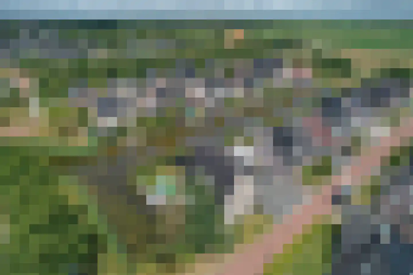 De Ekster 1 Joure thumbnail 44