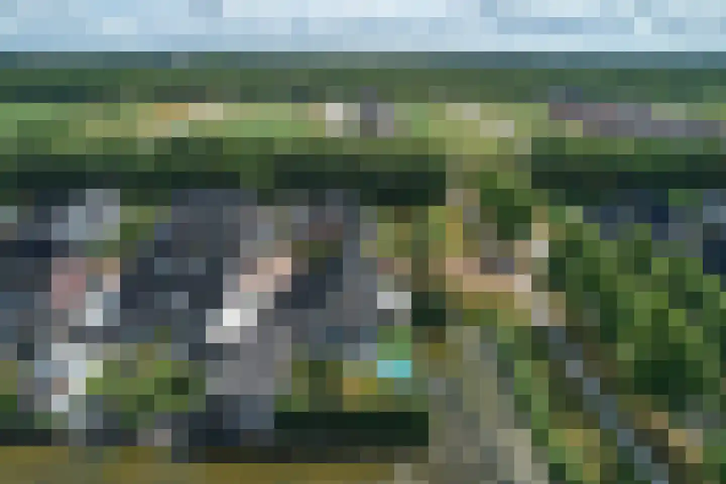 De Ekster 1 Joure thumbnail 46