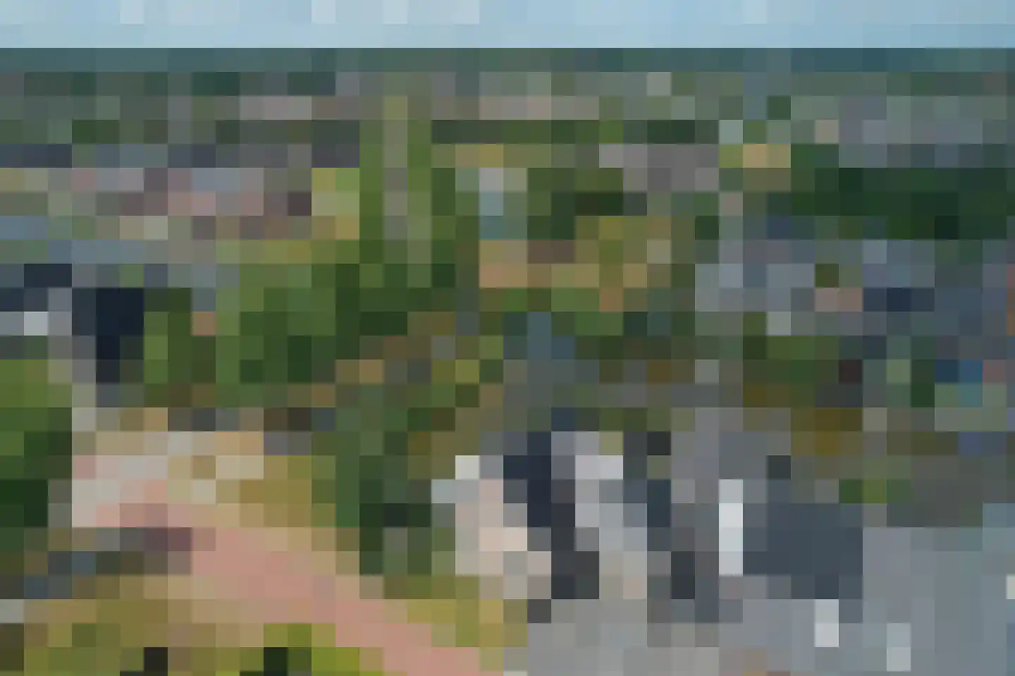 De Ekster 1 Joure thumbnail 47