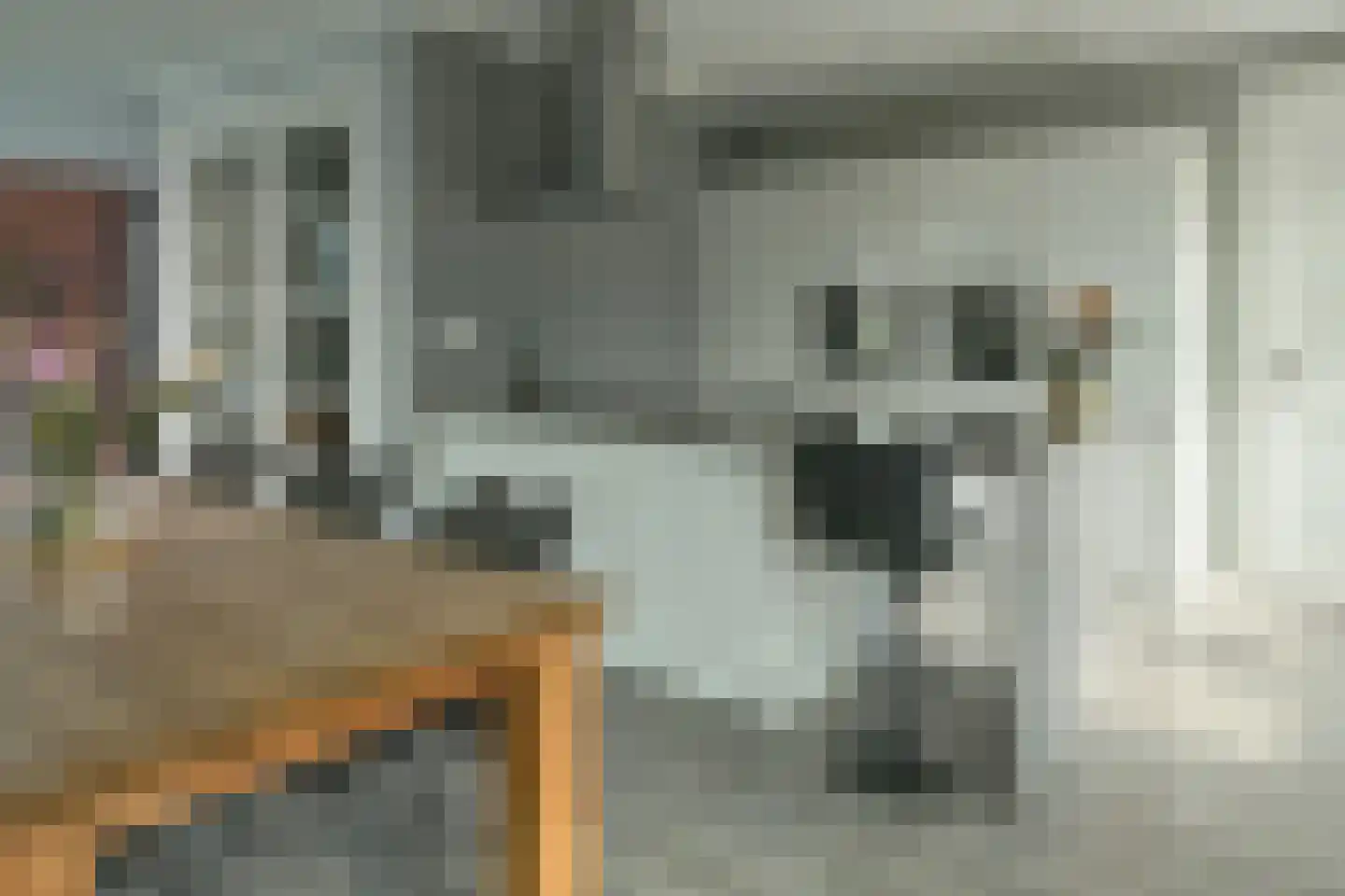 De Ekster 1 Joure thumbnail 5