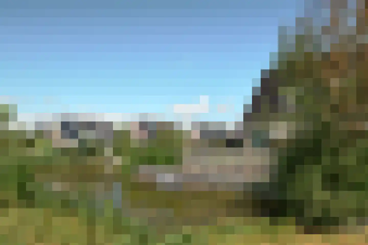 De Ekster 1 Joure thumbnail 7