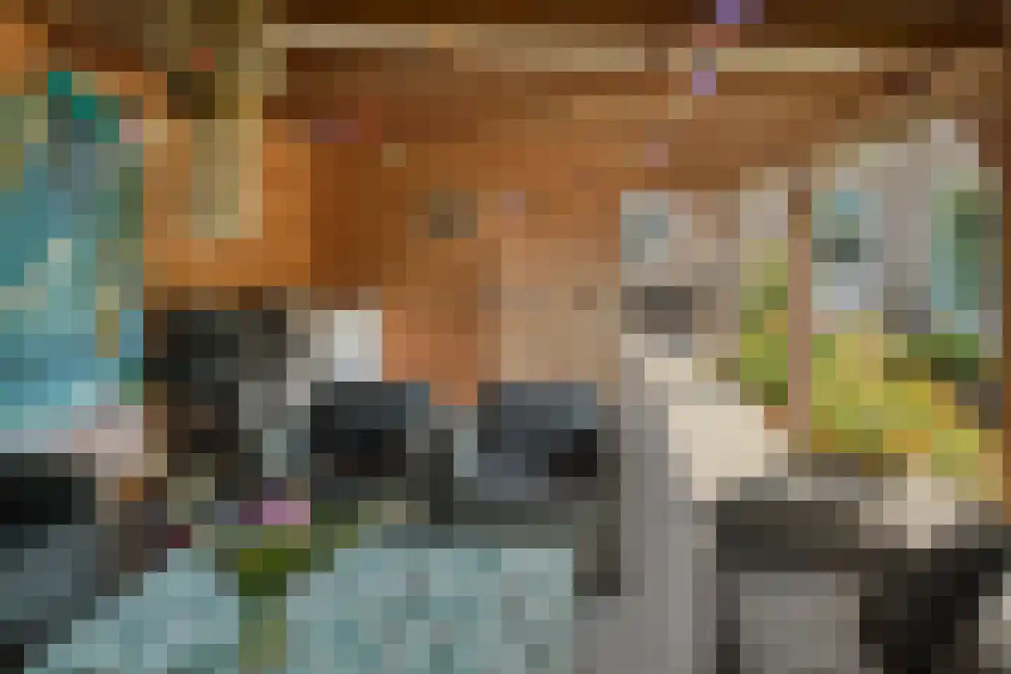 De Ekster 1 Joure thumbnail 9