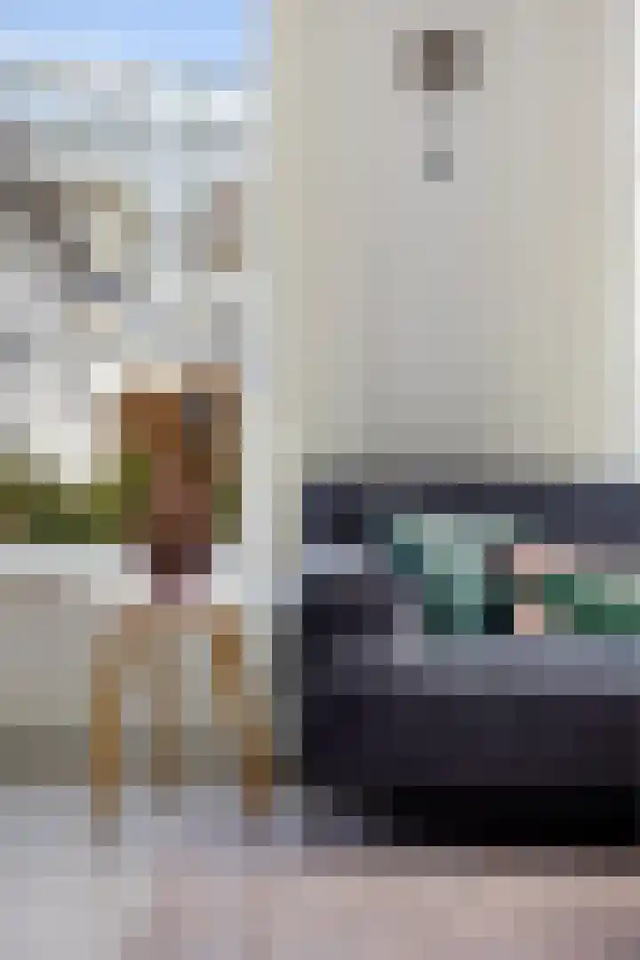 De Ekster 5 Joure thumbnail 13