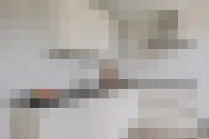 De Ekster 5 Joure thumbnail 18