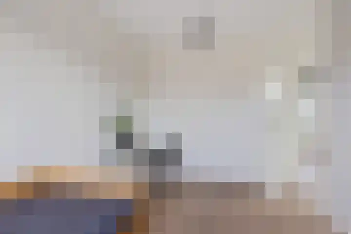 De Ekster 5 Joure thumbnail 25