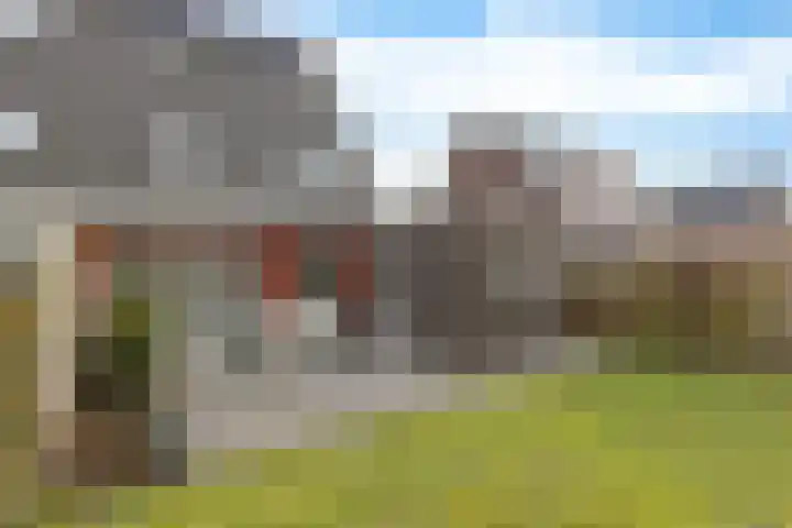 De Ekster 5 Joure thumbnail 31