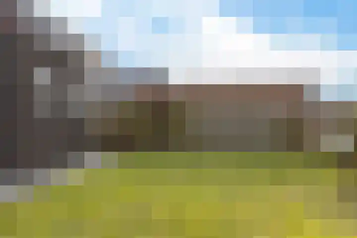 De Ekster 5 Joure thumbnail 35