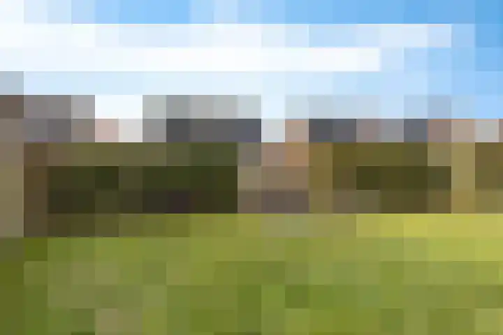 De Ekster 5 Joure thumbnail 37