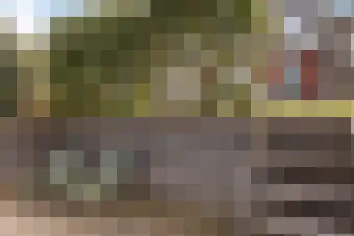 De Ekster 5 Joure thumbnail 39