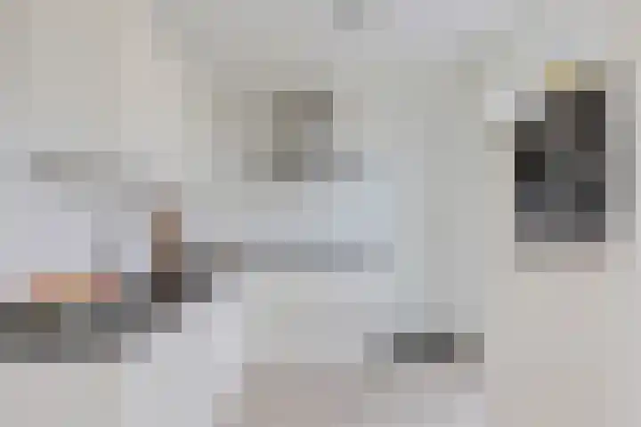 De Ekster 5 Joure thumbnail 4