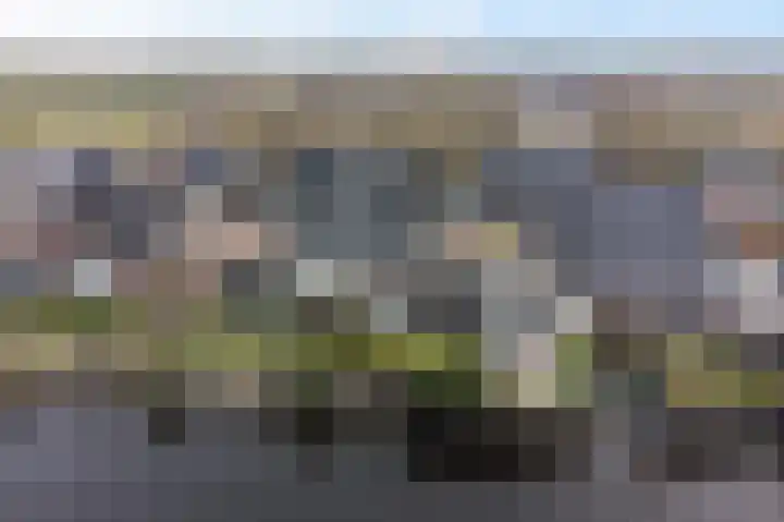 De Ekster 5 Joure thumbnail 43