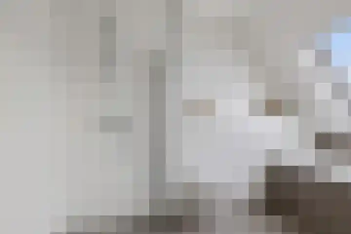 De Ekster 5 Joure thumbnail 5
