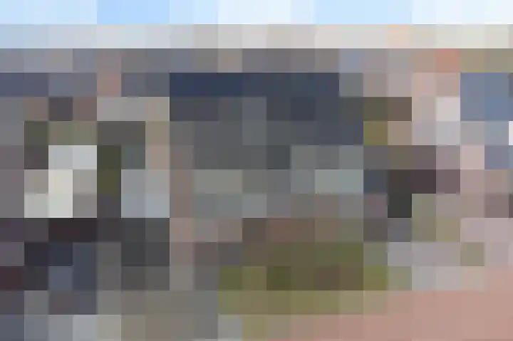 De Ekster 5 Joure thumbnail 52