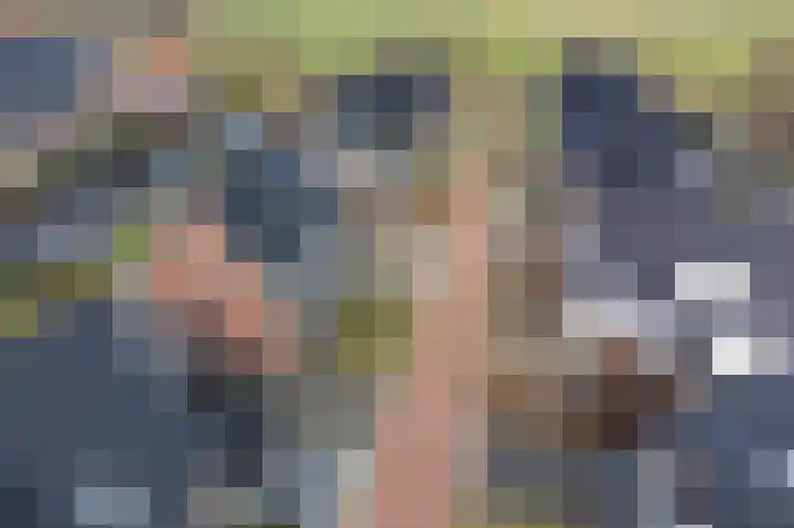 De Ekster 5 Joure thumbnail 6