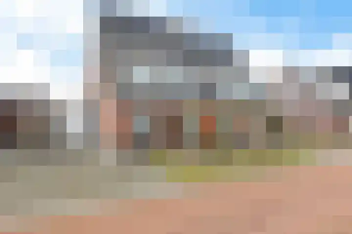 De Ekster 5 Joure thumbnail 7