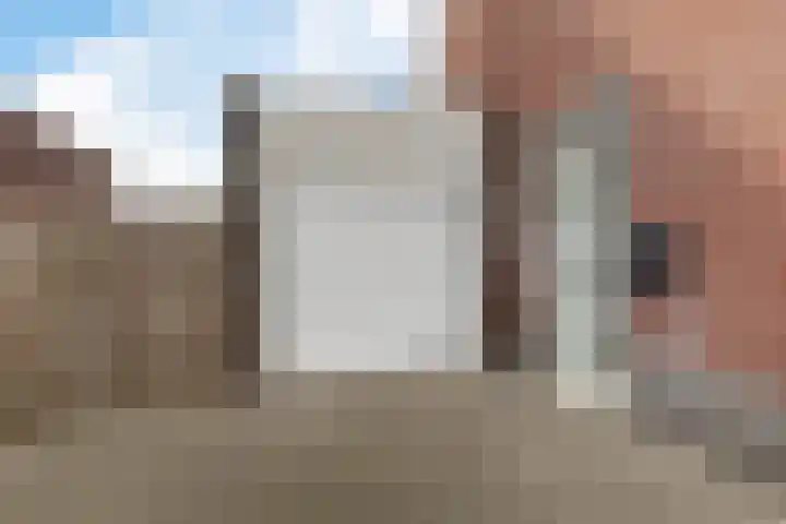 De Ekster 5 Joure thumbnail 8